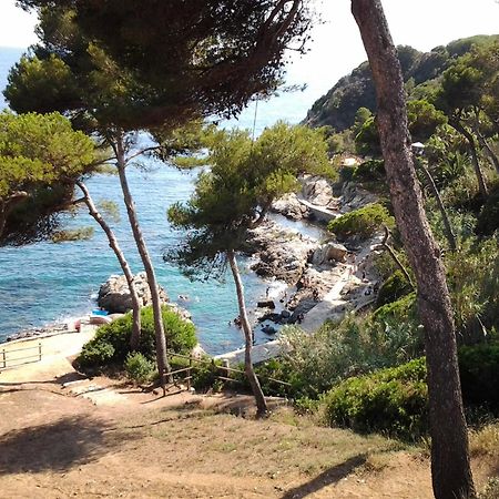 Apartamento Sol- Fanals Διαμέρισμα Λορέτ Ντε Μαρ Εξωτερικό φωτογραφία
