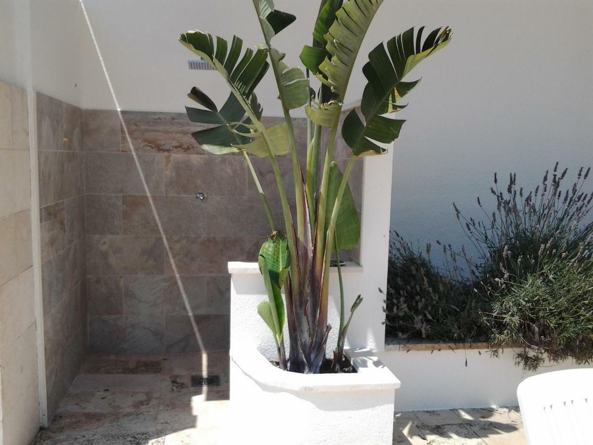 Apartamento Sol- Fanals Διαμέρισμα Λορέτ Ντε Μαρ Εξωτερικό φωτογραφία